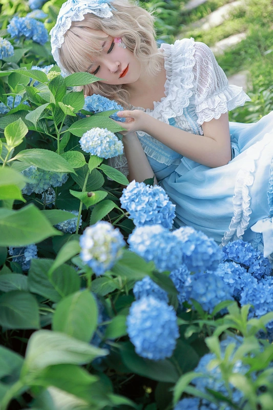 LOLITA带你去看那漫山遍野的绣球花好吗？ - 夏柠柠